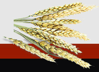 优发国际·随优而动一触即发