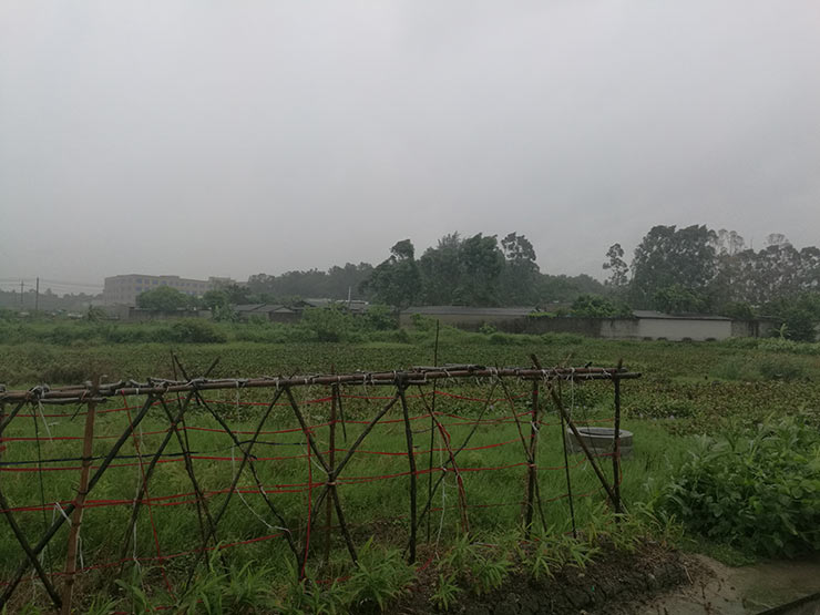 优发国际·随优而动一触即发