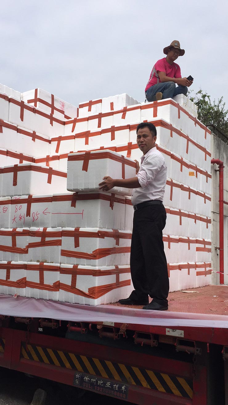 优发国际·随优而动一触即发