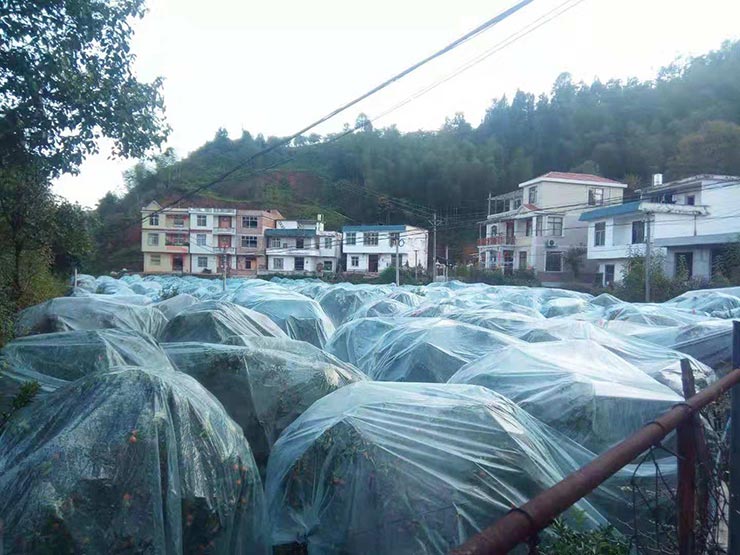 优发国际·随优而动一触即发