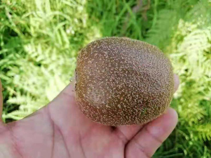 优发国际·随优而动一触即发