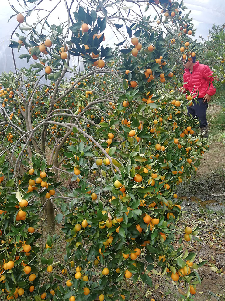 优发国际·随优而动一触即发