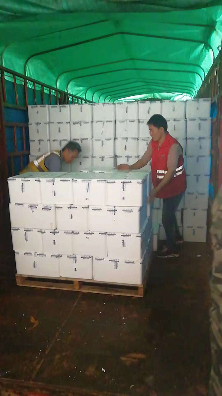 优发国际·随优而动一触即发