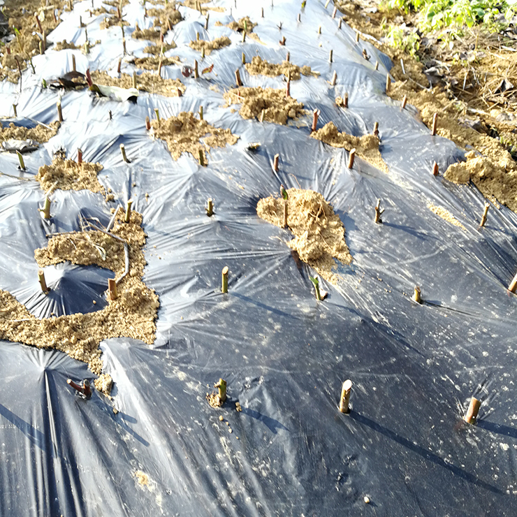 优发国际·随优而动一触即发