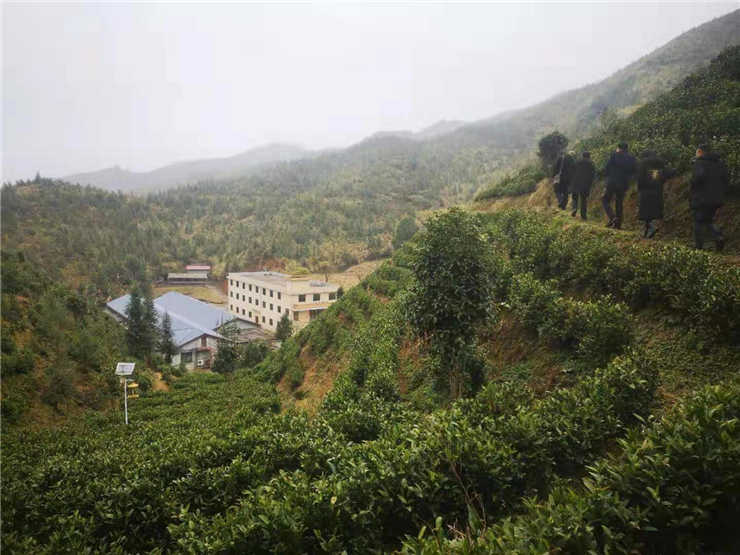 优发国际·随优而动一触即发