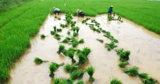 优发国际·随优而动一触即发