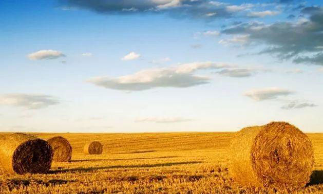 优发国际·随优而动一触即发