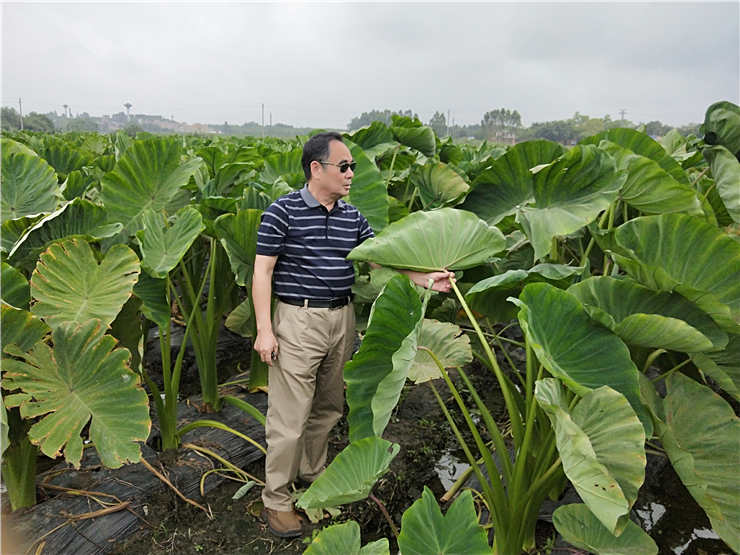 优发国际·随优而动一触即发