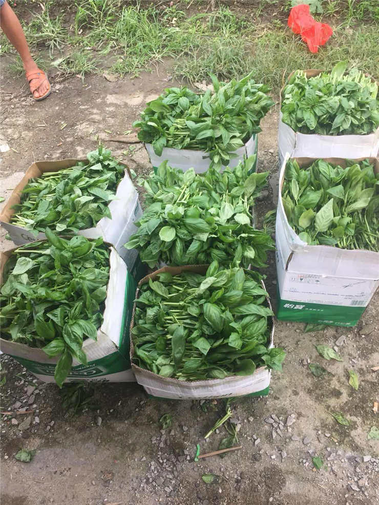 优发国际·随优而动一触即发