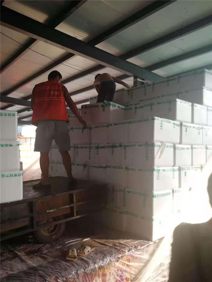 优发国际·随优而动一触即发