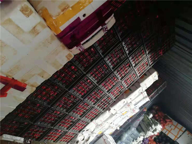 优发国际·随优而动一触即发