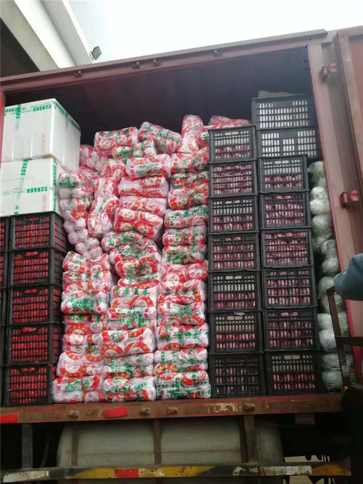 优发国际·随优而动一触即发