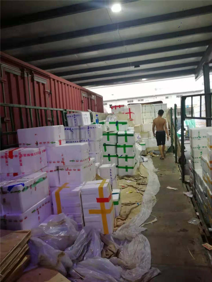 优发国际·随优而动一触即发