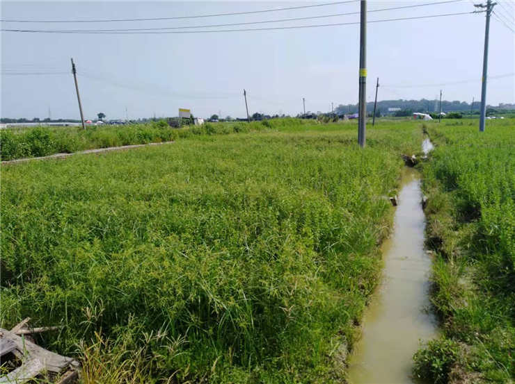 优发国际·随优而动一触即发