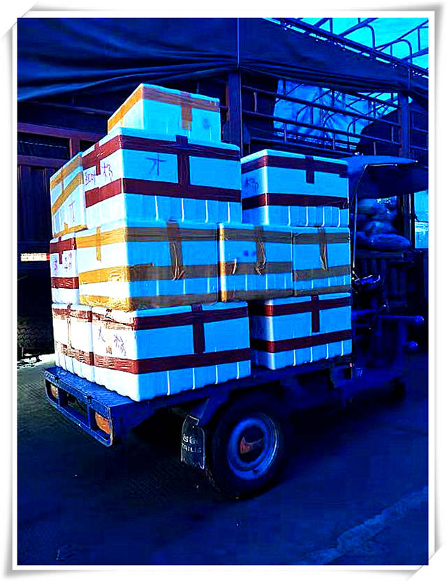 优发国际·随优而动一触即发