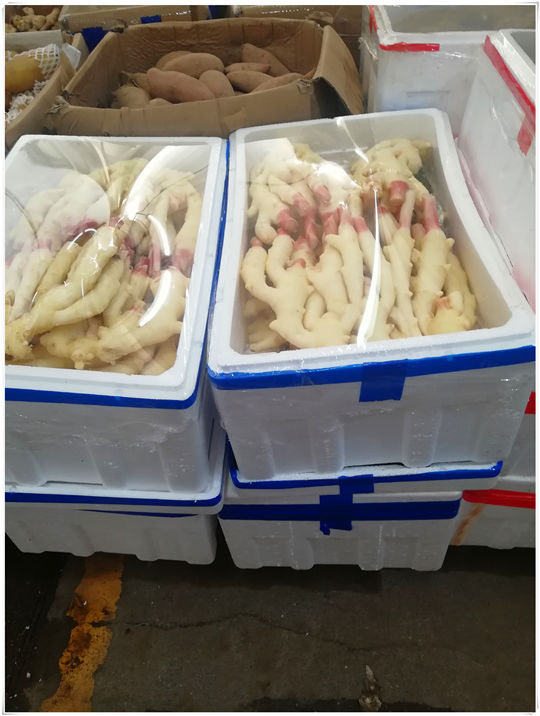 优发国际·随优而动一触即发