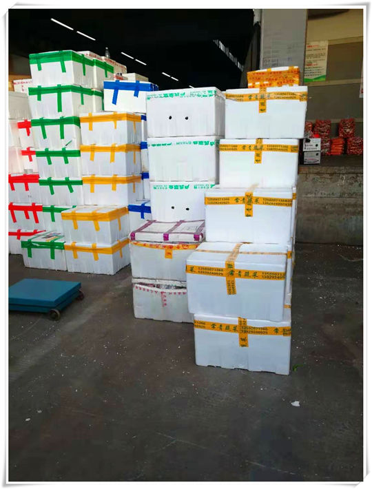 优发国际·随优而动一触即发