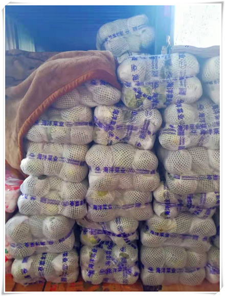 优发国际·随优而动一触即发