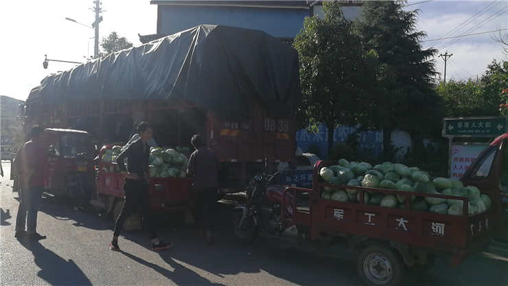 优发国际·随优而动一触即发