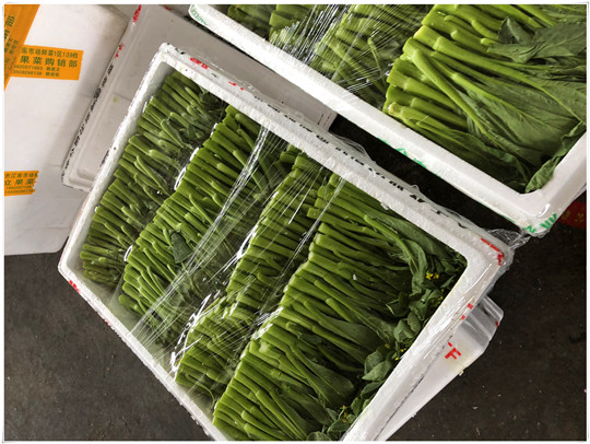 优发国际·随优而动一触即发