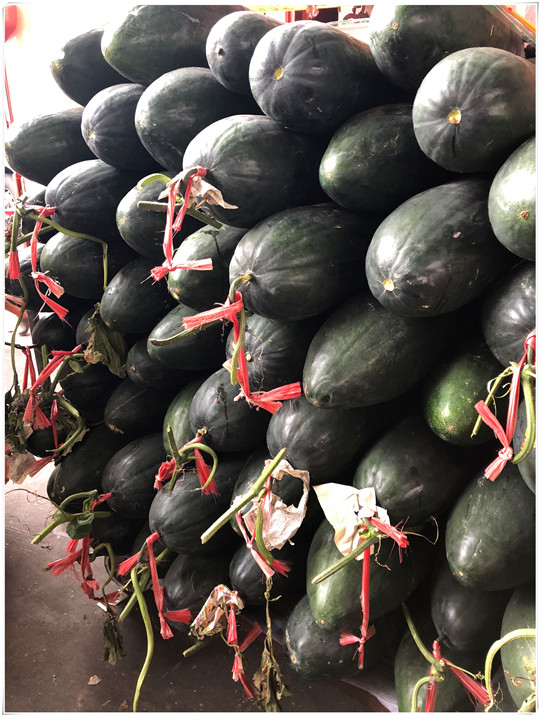 优发国际·随优而动一触即发