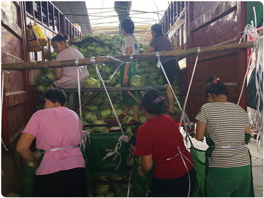 优发国际·随优而动一触即发