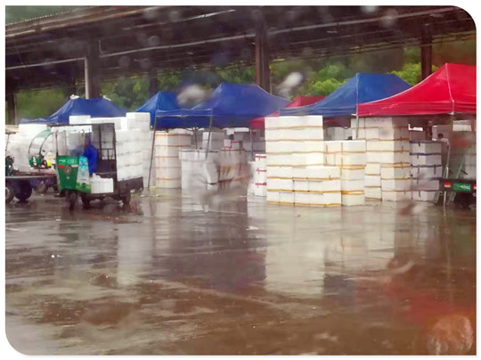 优发国际·随优而动一触即发