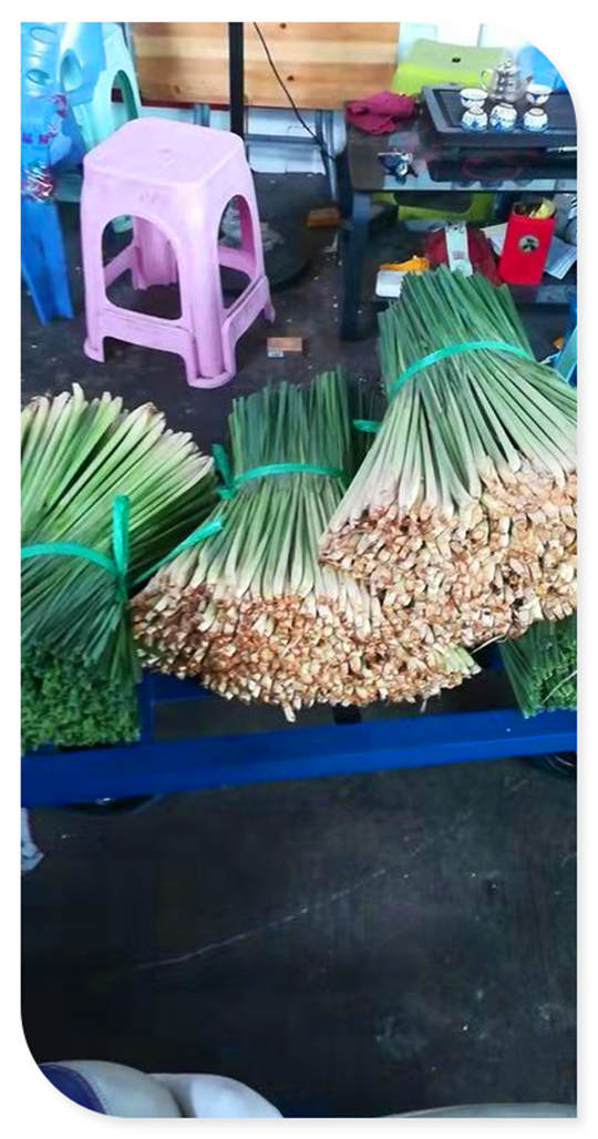 优发国际·随优而动一触即发