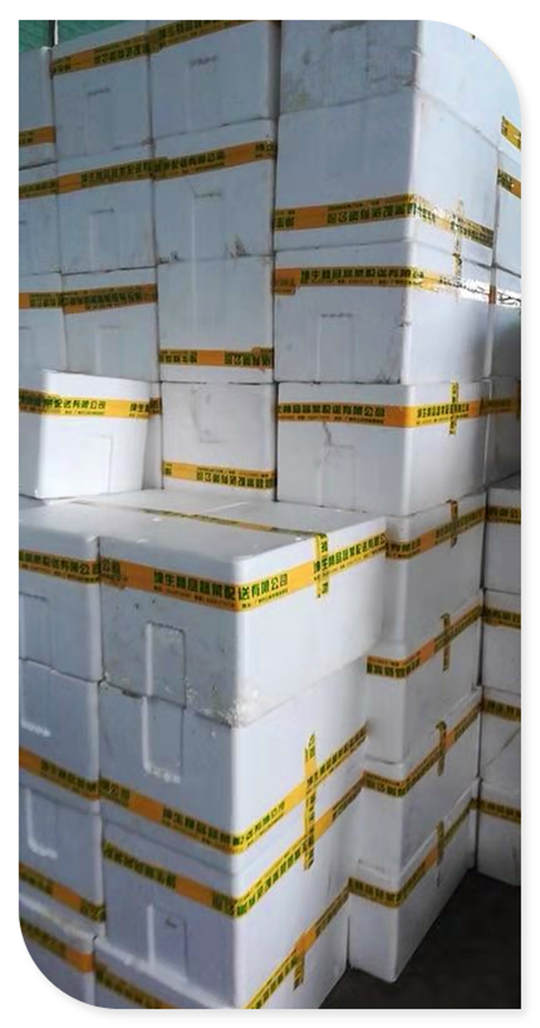 优发国际·随优而动一触即发