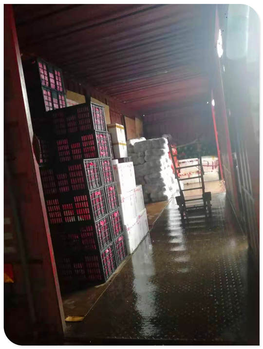 优发国际·随优而动一触即发