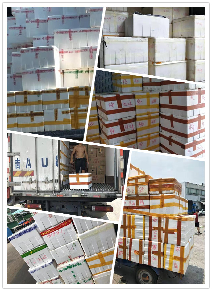 优发国际·随优而动一触即发