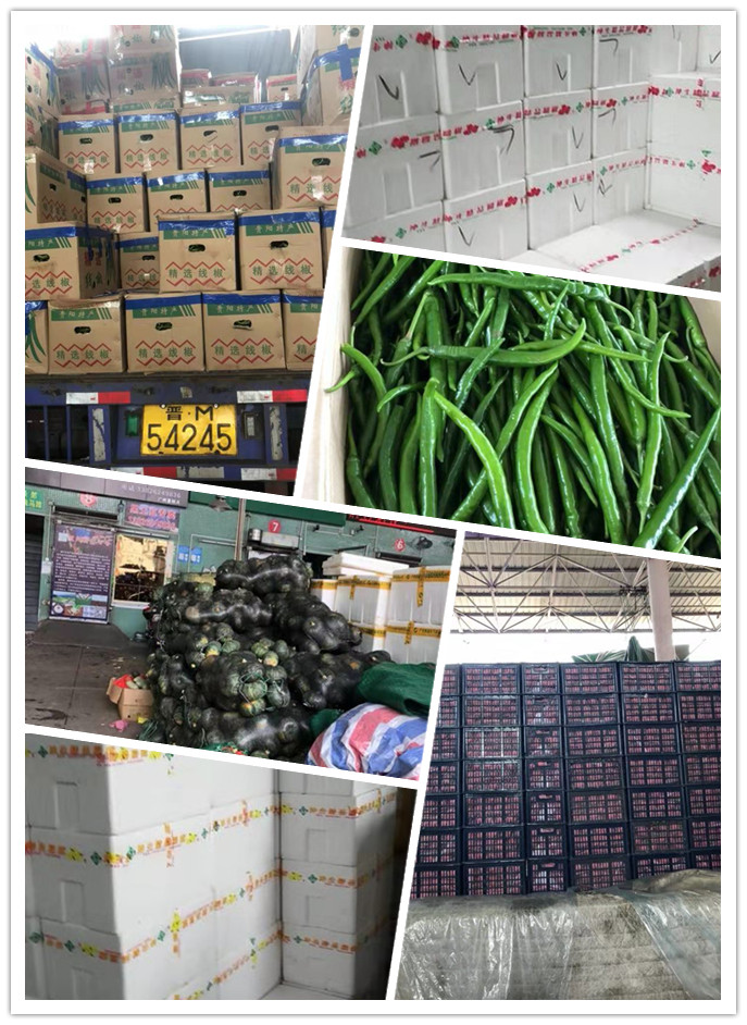 优发国际·随优而动一触即发