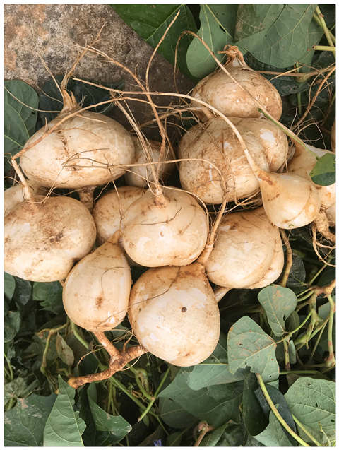 优发国际·随优而动一触即发