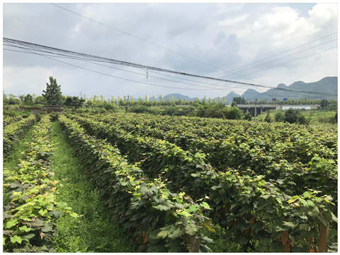 优发国际·随优而动一触即发