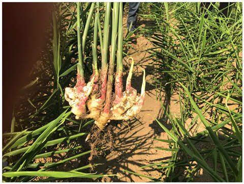 优发国际·随优而动一触即发