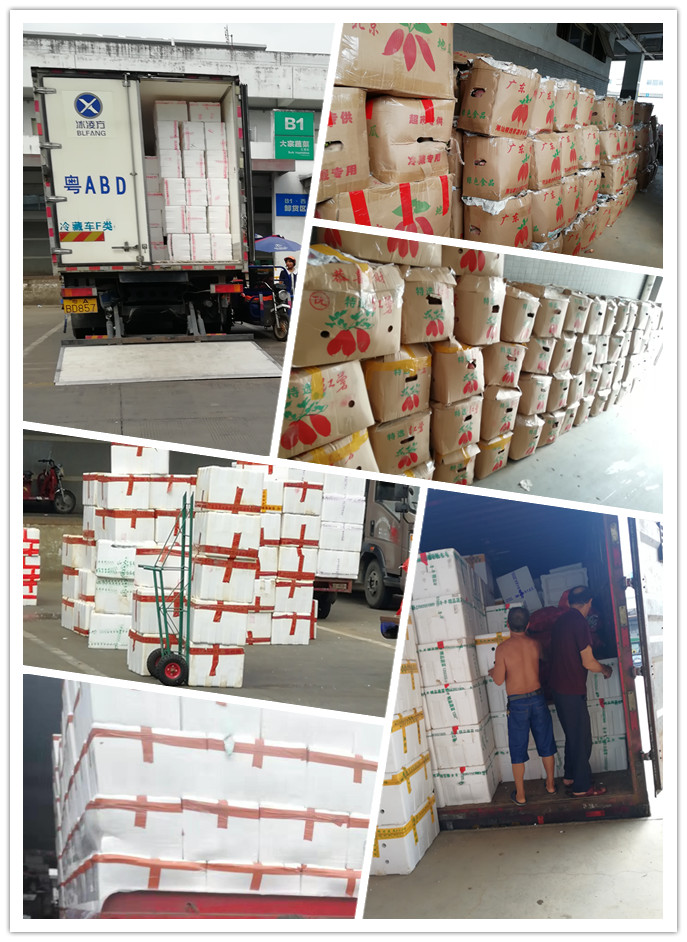 优发国际·随优而动一触即发