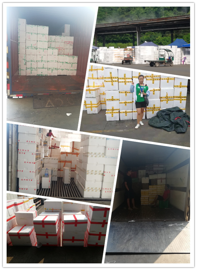 优发国际·随优而动一触即发