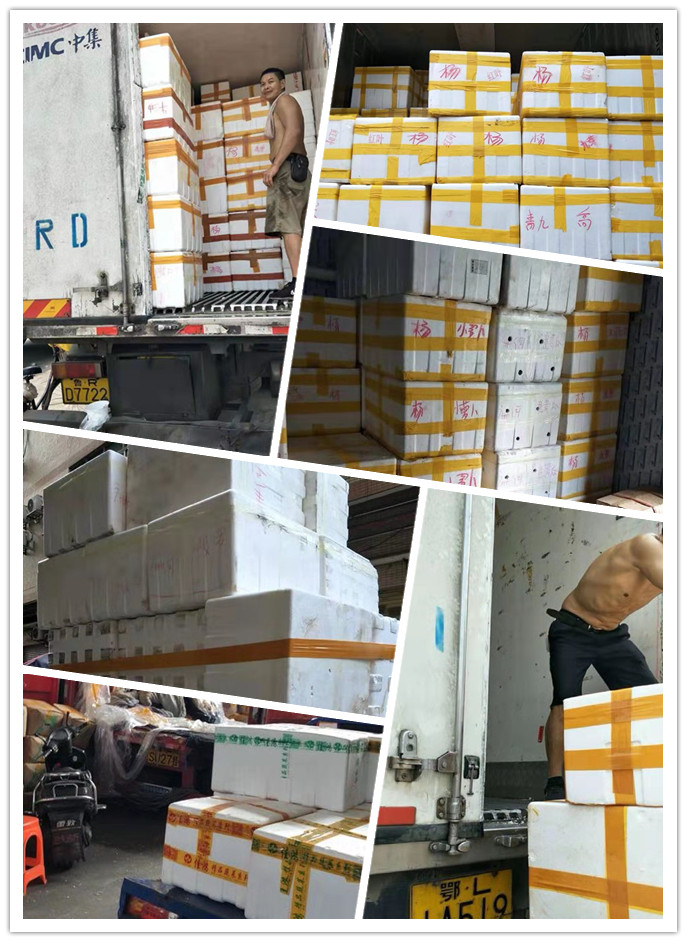 优发国际·随优而动一触即发