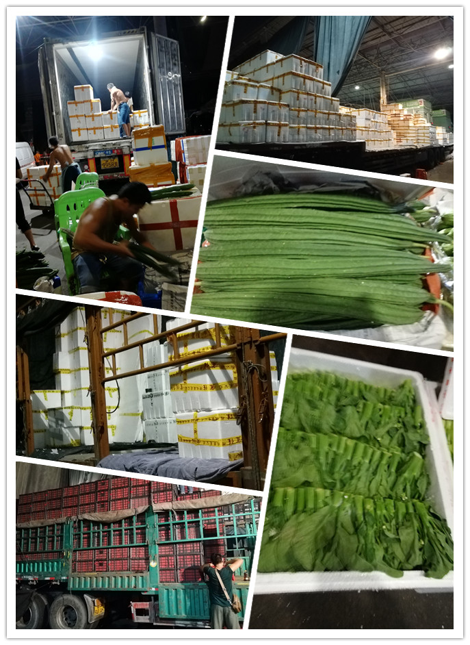 优发国际·随优而动一触即发