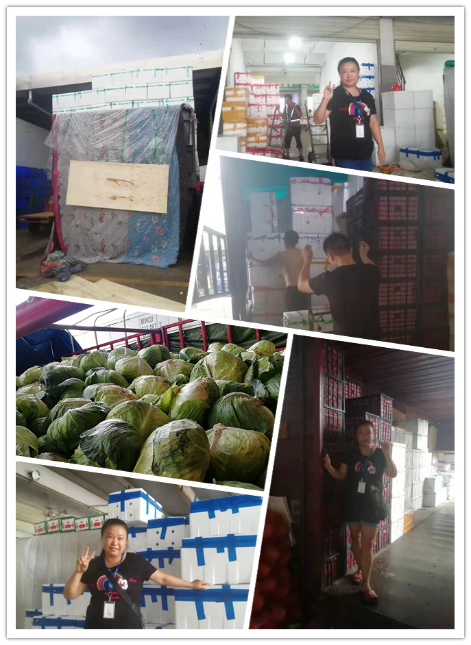 优发国际·随优而动一触即发