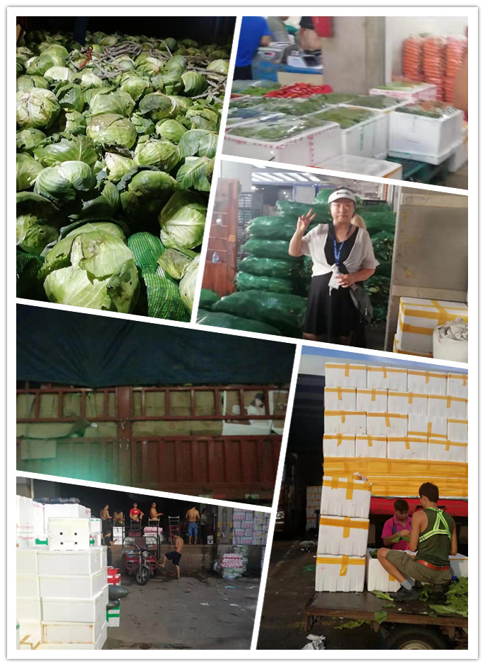 优发国际·随优而动一触即发