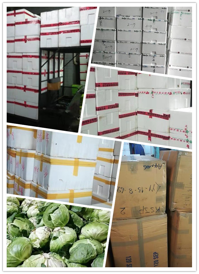 优发国际·随优而动一触即发