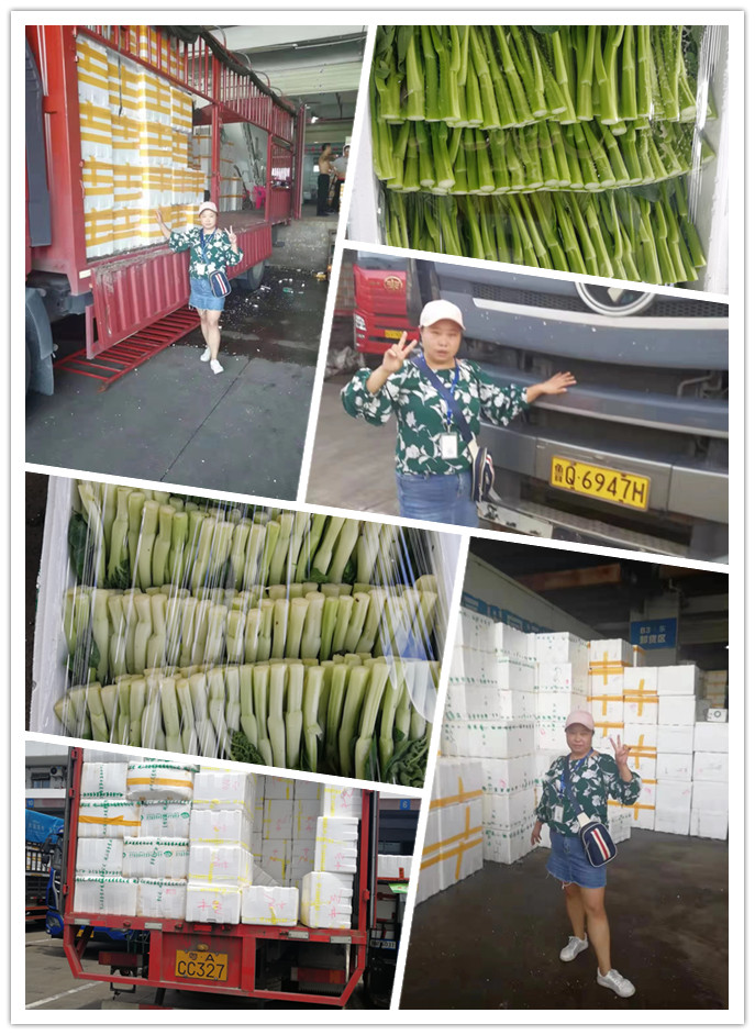 优发国际·随优而动一触即发