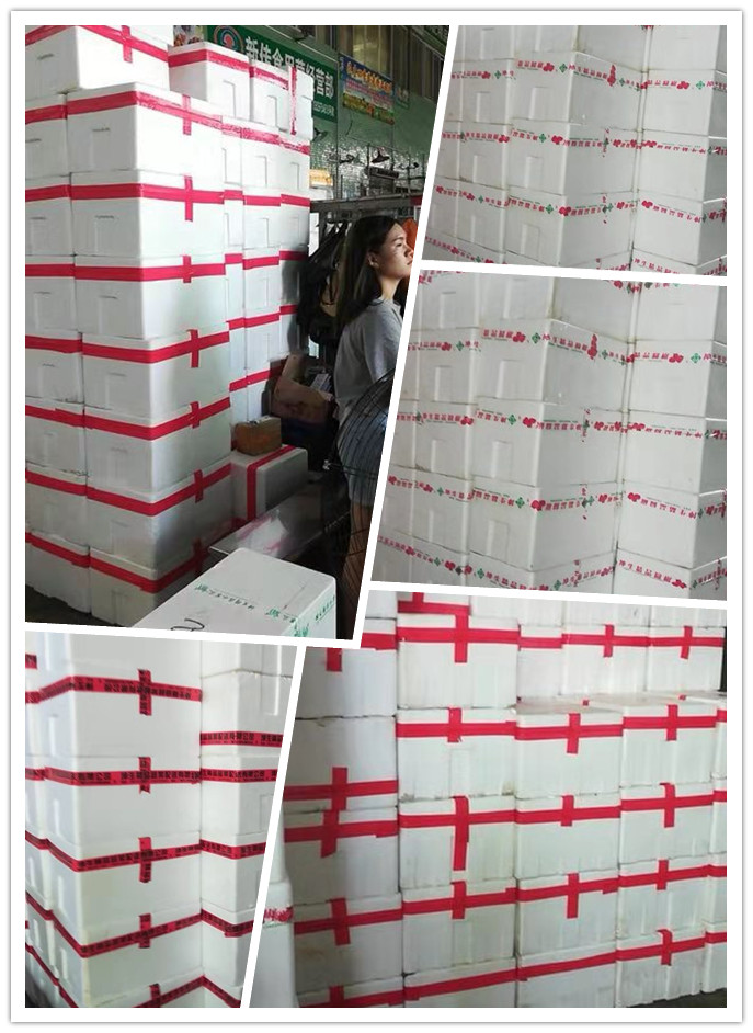 优发国际·随优而动一触即发