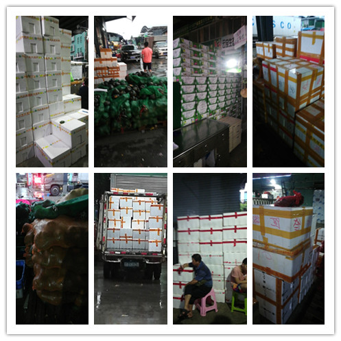 优发国际·随优而动一触即发