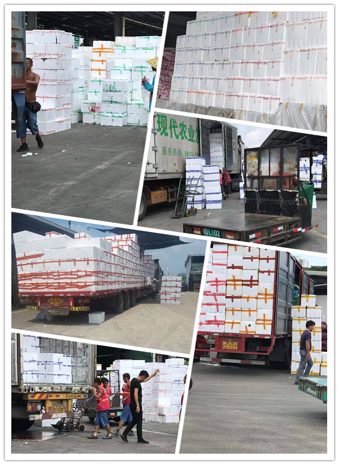 优发国际·随优而动一触即发