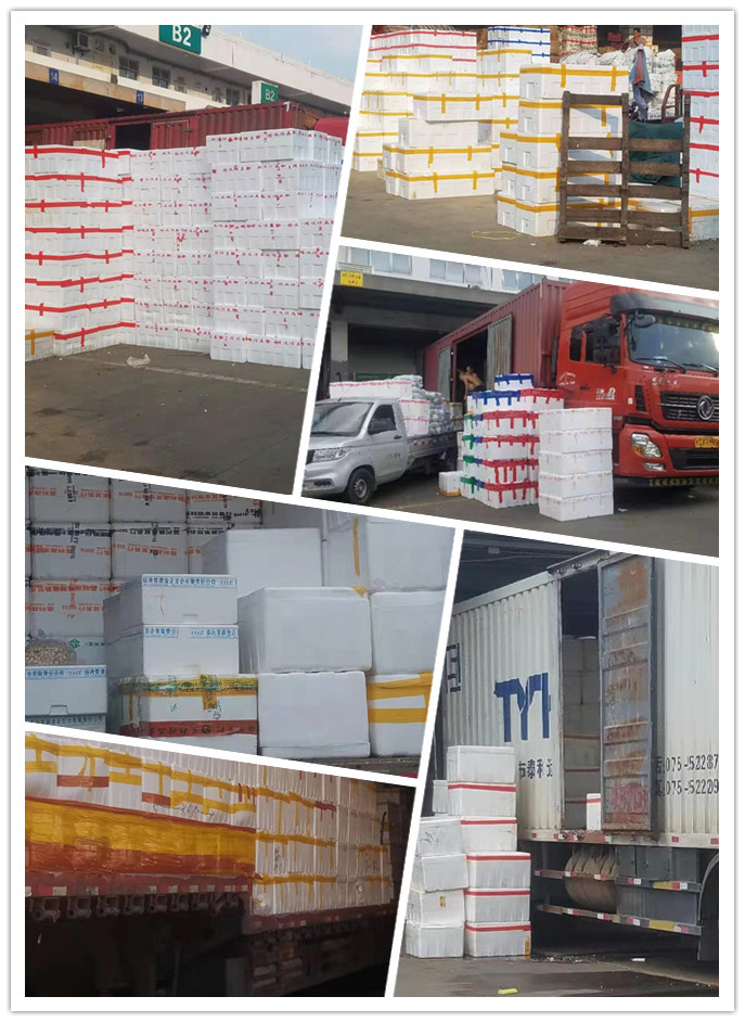 优发国际·随优而动一触即发