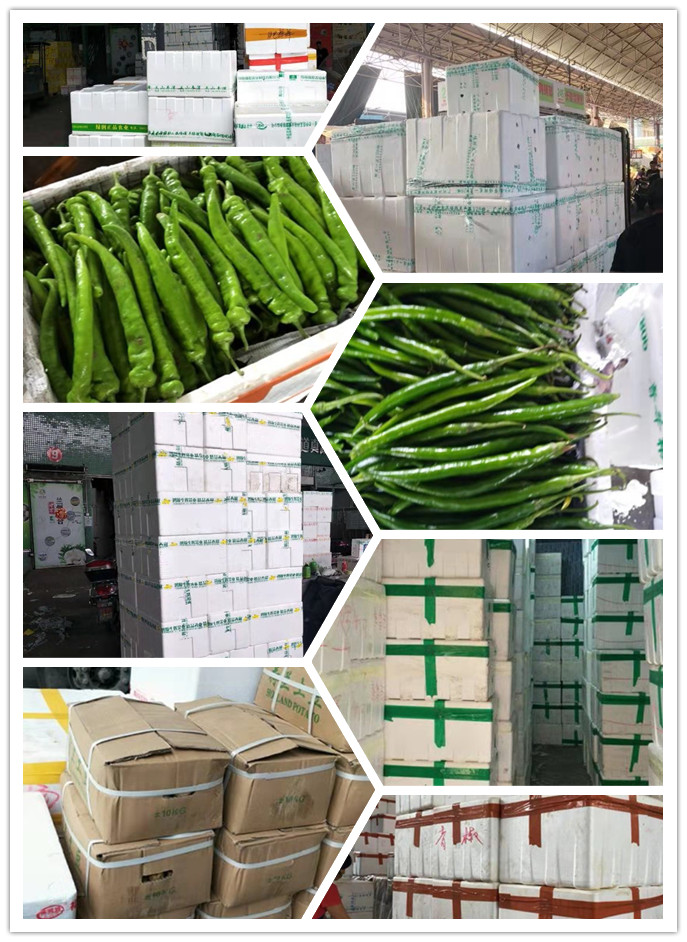 优发国际·随优而动一触即发