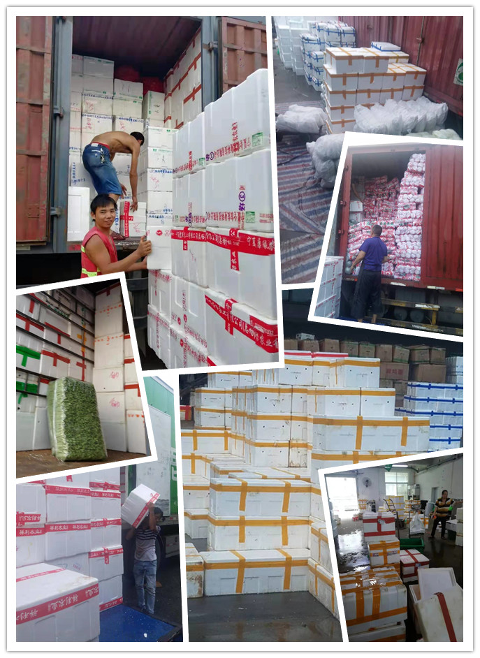 优发国际·随优而动一触即发