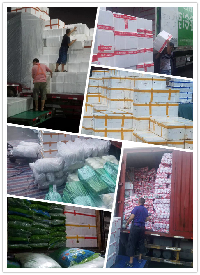 优发国际·随优而动一触即发